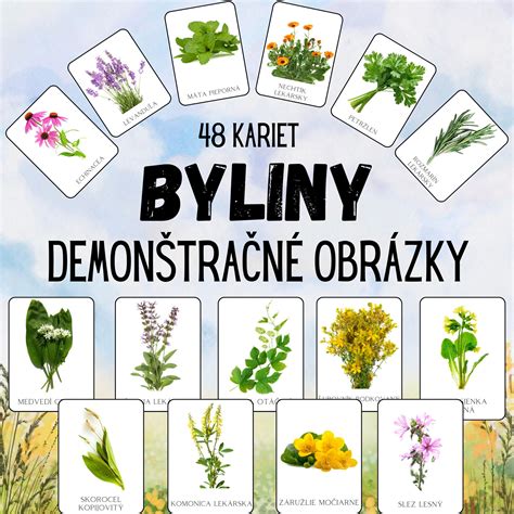 Ilustrácia bylinkára zbierajúceho liečivé rastliny