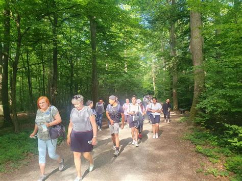 žiaci školy počas environmentálnej aktivity v prírode