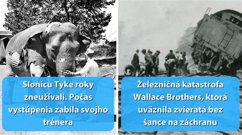 Ilustrácia cirkusových zvierat v klietkach