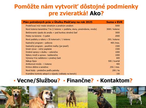 Proces prijatia zvieraťa do útulku