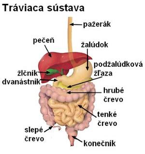 Umiestnenie kolostómie na bruchu