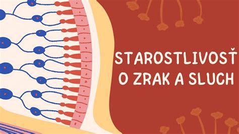Ilustrácia symbolizujúca sociálnu starostlivosť