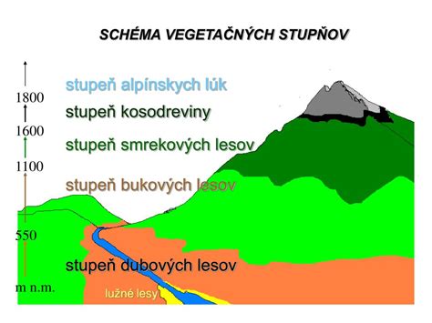 Schéma stupňov odkázanosti