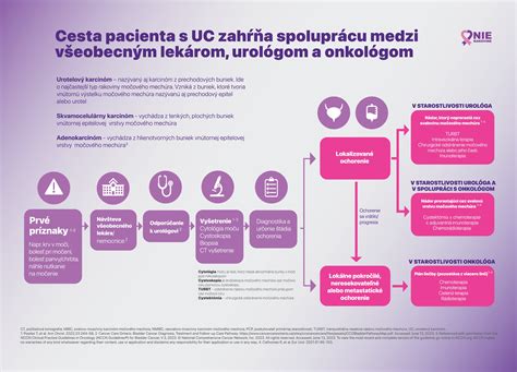 Schéma spolupráce medzi všeobecným lekárom a špecialistami