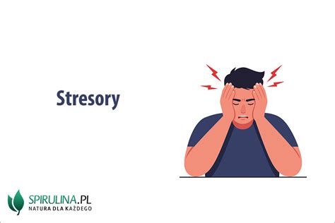 Infografika znázorňujúca najčastejšie stresory ovplyvňujúce adaptáciu seniorov