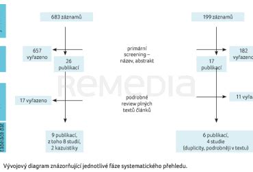 Diagram odkladného účinku odvolania