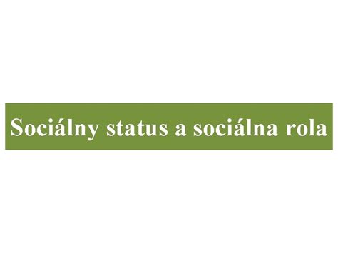 Sociálny status a rola