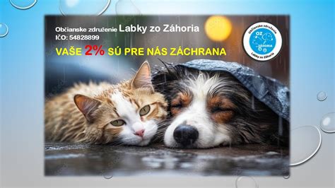 Labka psa v zime