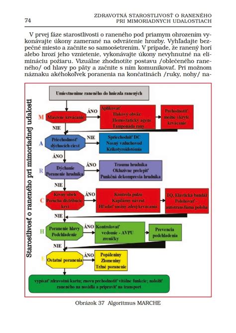 Schematické znázornenie koordinácie zložiek IZS pri mimoriadnej udalosti