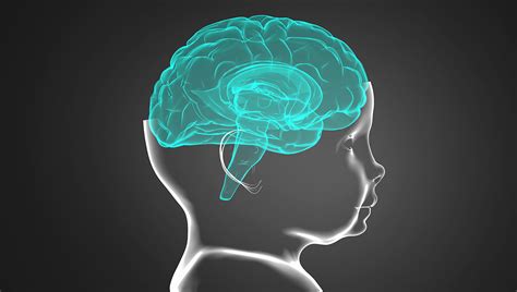 Ilustrácia mozgu dieťaťa s vyznačenou neuroplasticitou