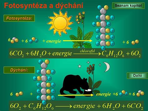 Schéma vzájomného vzťahu medzi hrubým národným produktom a hrubým domácim produktom