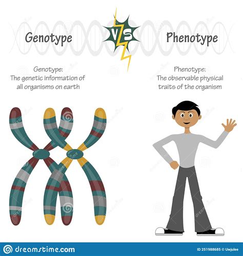 Genotyp a fenotyp