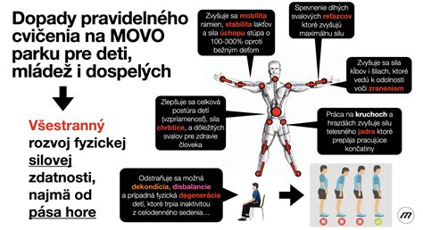 Graf znázorňujúci vplyv cvičenia na metabolický profil svalov