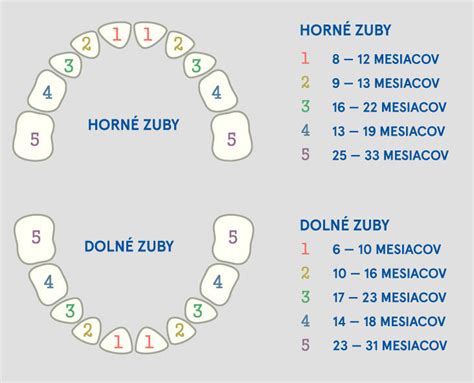 Infografika o vplyve cukru na detské zuby