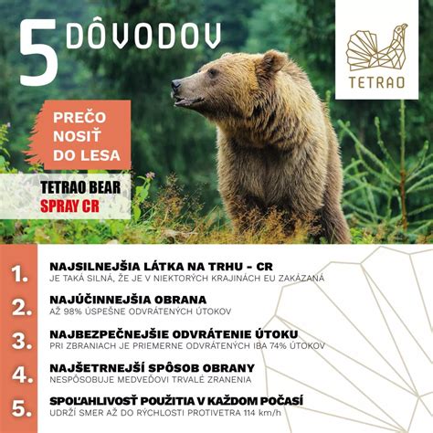 Opatrenia proti medveďom