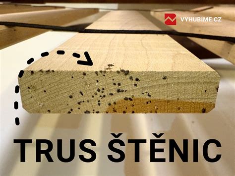 Súhrn typických vlastností vŕb