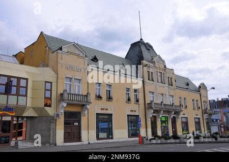 Lev a levice