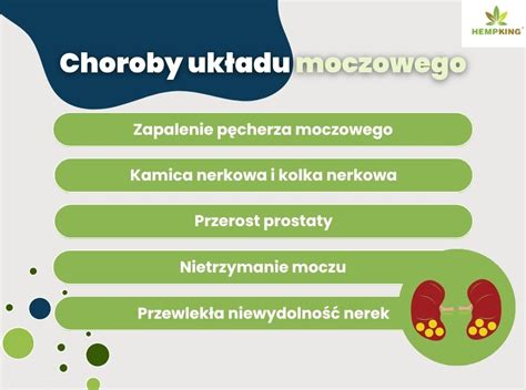 Infografika: Choroby liečené FBLR