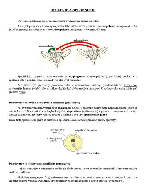 Opelenie kvetov pomarančovníka štetcom