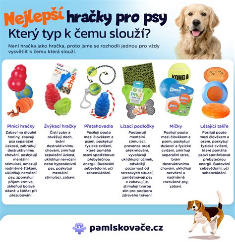 Infografika: Základné živiny pre psa