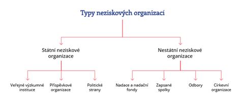 Schéma: Typy neziskových organizácií na Slovensku