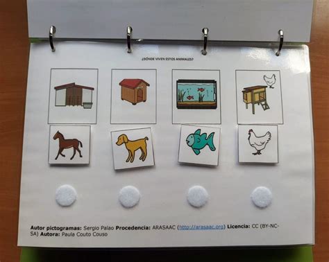 Efektivita TEACCH programu vo vzdelávaní