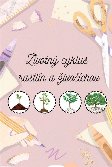 Infografika: Životný cyklus vybraných rastlín a živočíchov
