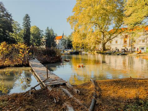 Záber z podujatia Stredanské leto v parku pri kaštieli