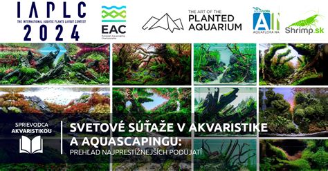 Prehľad hygienických zásad v akvaristike