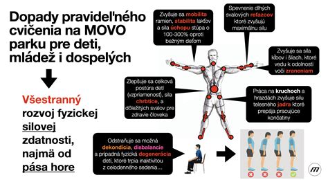 Schéma vplyvu pravidelného cvičenia na zdravie seniora
