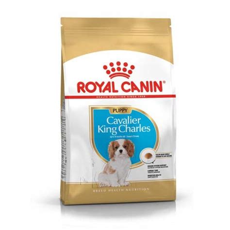Kvalitné krmivo pre Cavalier King Charles Španiela