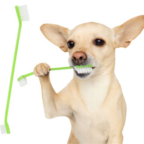 Zubná hygiena psa
