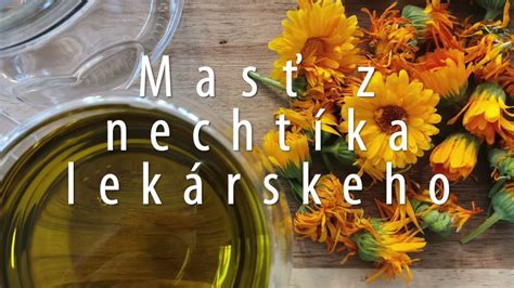 Infografika: Zloženie nechtíka lekárskeho
