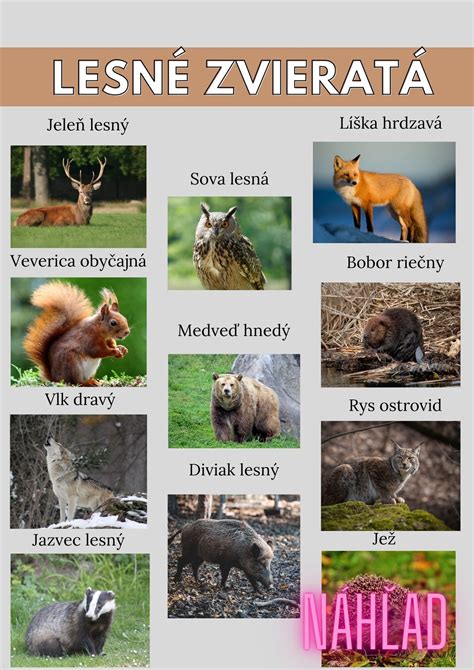 Zimná potrava pre zvieratá
