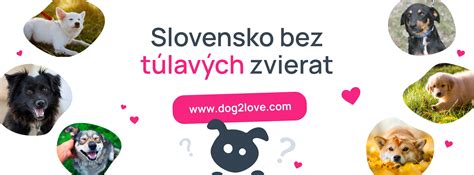 Infografika: Rozdiely v legislatíve pre psov v Nemecku podľa spolkových krajín