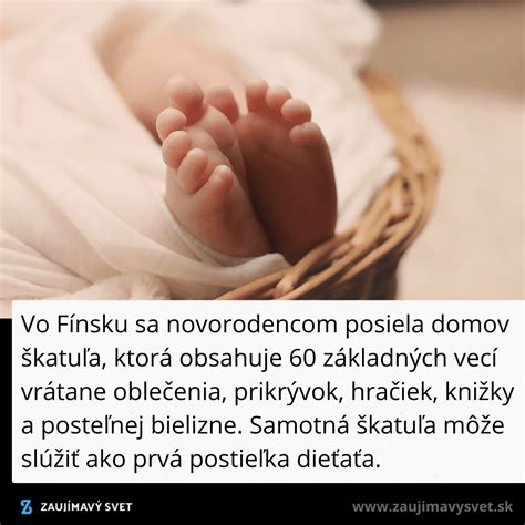 Schéma: Prehľad vylúčených dôb pre matky a iných poistencov