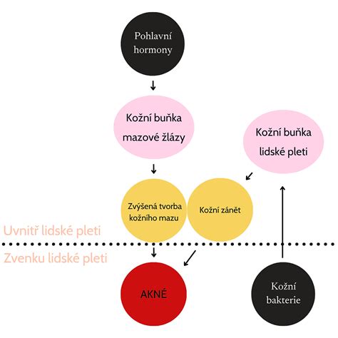 schématické znázornenie prejavov schizofrénie u detí