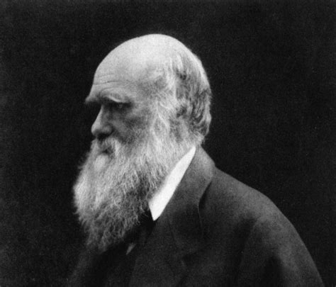 Portrét Charlesa Darwina a Herberta Spencera