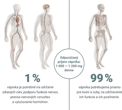 Štruktúra vápnika a jeho funkcie v tele