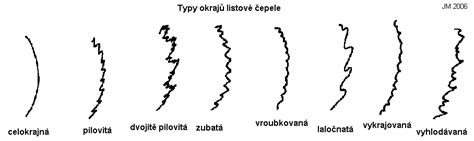 Typy zahnutia hokejovej čepele
