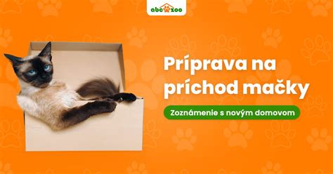 Príprava mačky na veterinárny zákrok