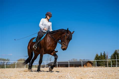 Ilustračná fotografia seniorov pri jazde na koni