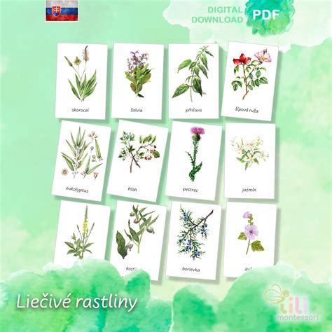 Historický prehľad používania liečivých rastlín