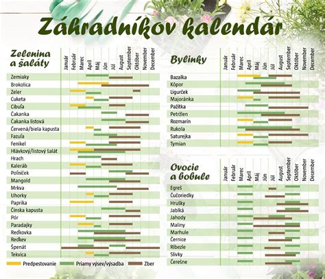 Kalendár zberu liečivých rastlín
