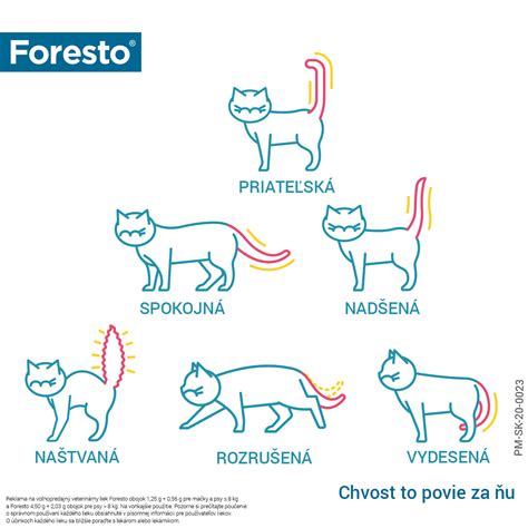Infografika: Reč tela mačky