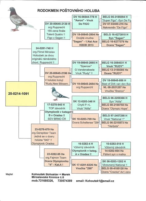 Rodokmeň Michala Dočolomanského