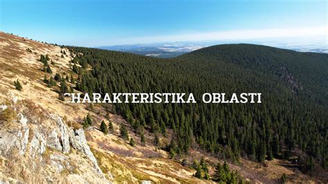 Charakteristika spoluzávislosti