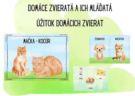 Infografika: hospodársky úžitok domácich zvierat