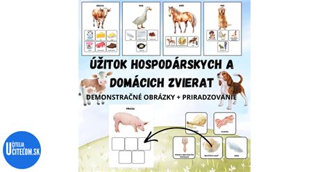 Základné potreby domácich zvierat