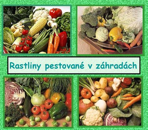 Rastliny pestované bez pesticídov